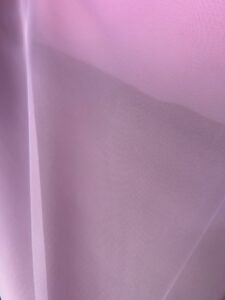 Rosa BB