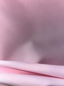 Rosa BB