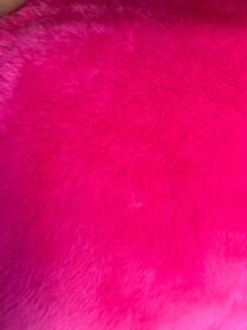 Rosa Pink
